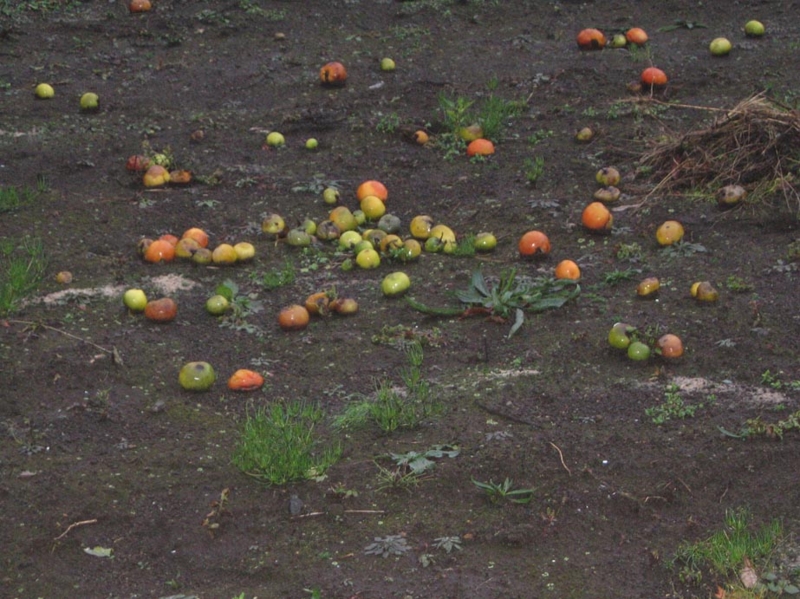 f:id:atarou:20121113070725j:image