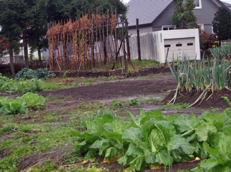 f:id:atarou:20121113070726j:image