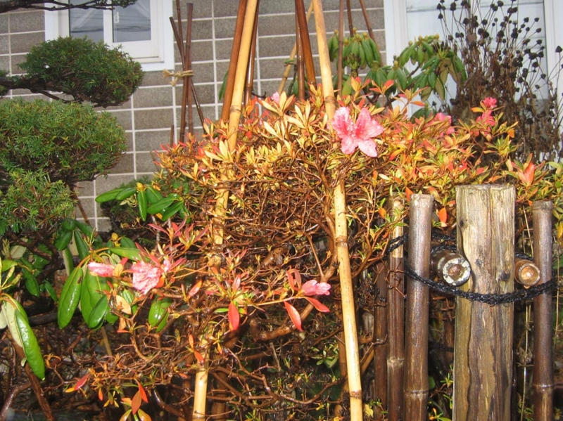 f:id:atarou:20121113070727j:image