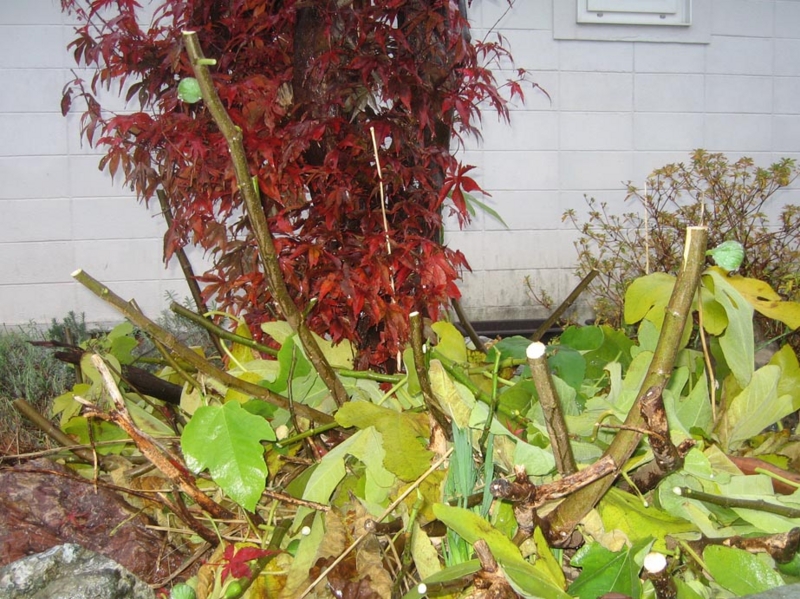 f:id:atarou:20121113071400j:image