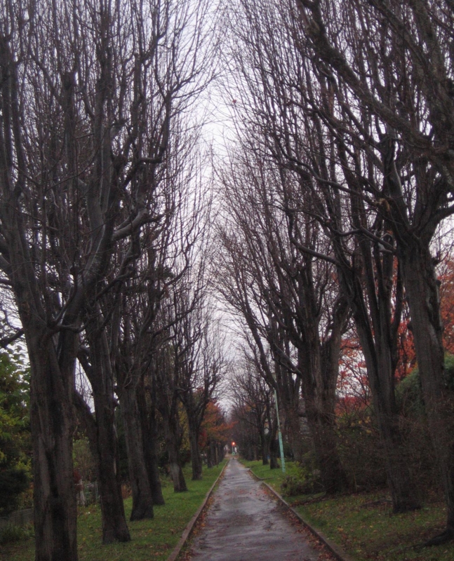 f:id:atarou:20121113072518j:image