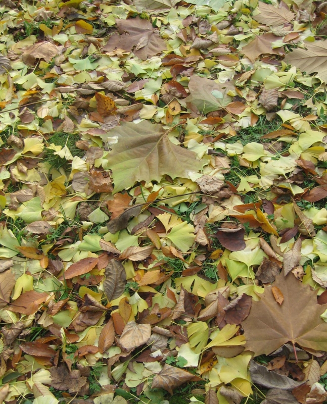 f:id:atarou:20121114055846j:image