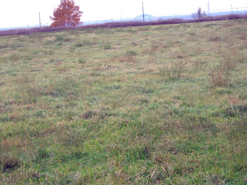 f:id:atarou:20121114070217j:image