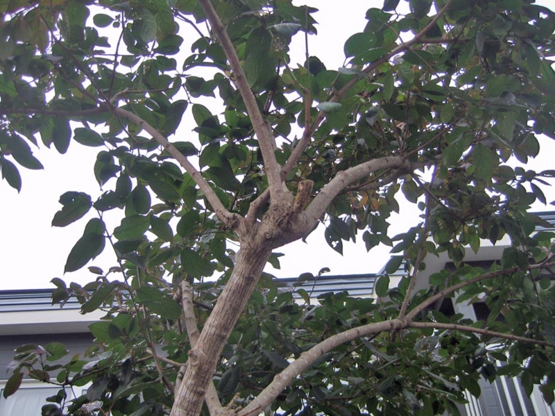 f:id:atarou:20121115070543j:image