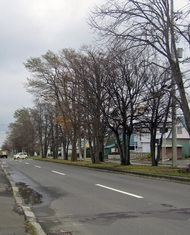 f:id:atarou:20121115072149j:image