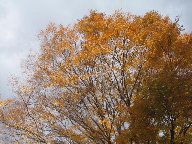 f:id:atarou:20121116064531j:image