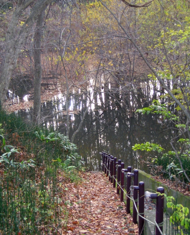 f:id:atarou:20121116065909j:image