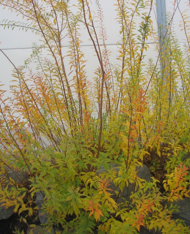 f:id:atarou:20121116071129j:image