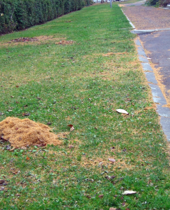 f:id:atarou:20121116071132j:image