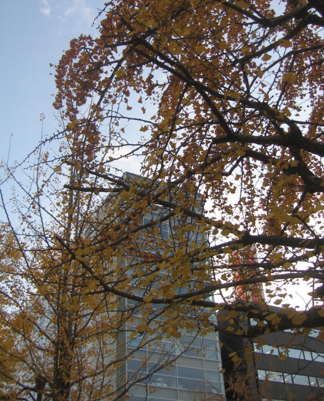 f:id:atarou:20121117065858j:image