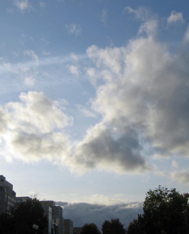 f:id:atarou:20121117065945j:image