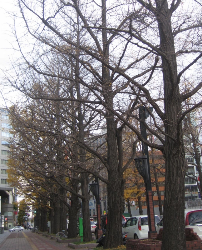 f:id:atarou:20121117070712j:image