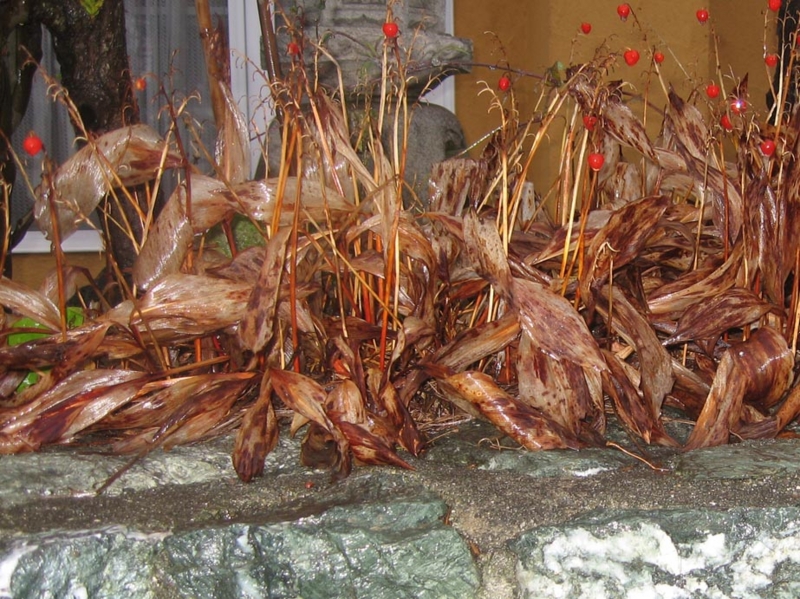 f:id:atarou:20121118065859j:image