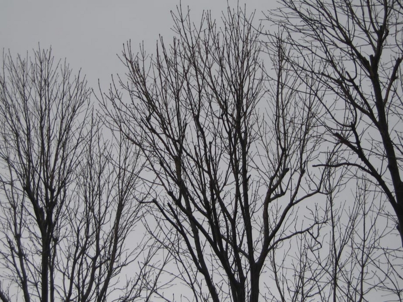 f:id:atarou:20121118071423j:image