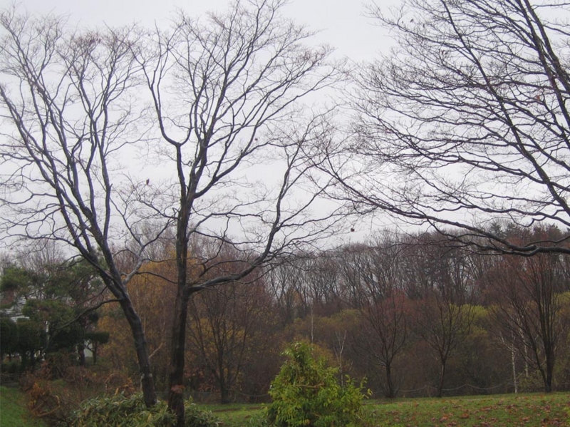 f:id:atarou:20121118071752j:image