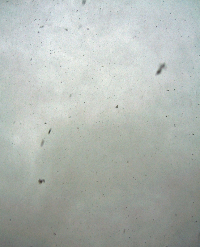 f:id:atarou:20121119062726j:image
