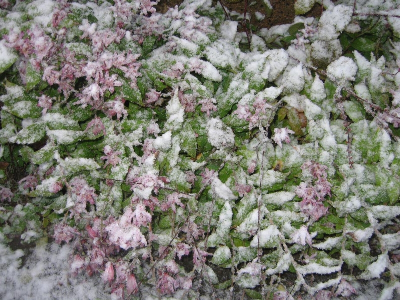 f:id:atarou:20121119063654j:image