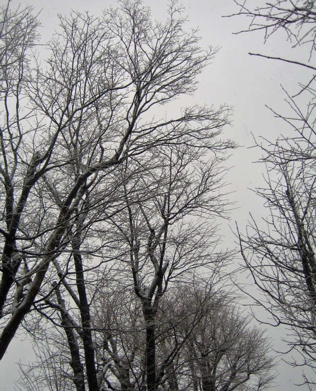 f:id:atarou:20121119063657j:image
