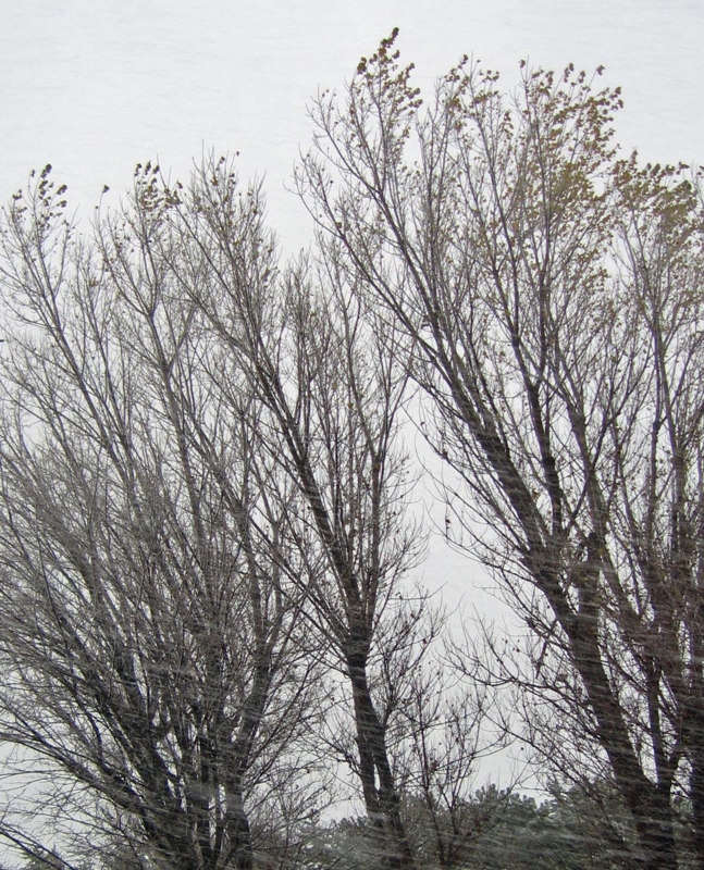 f:id:atarou:20121119065315j:image