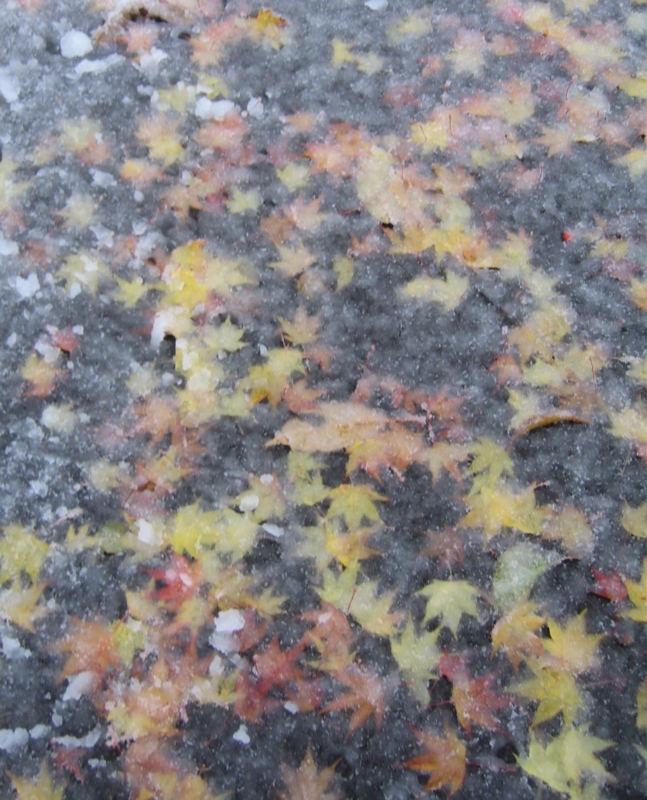 f:id:atarou:20121119065317j:image