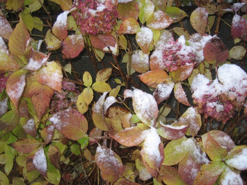 f:id:atarou:20121119065816j:image