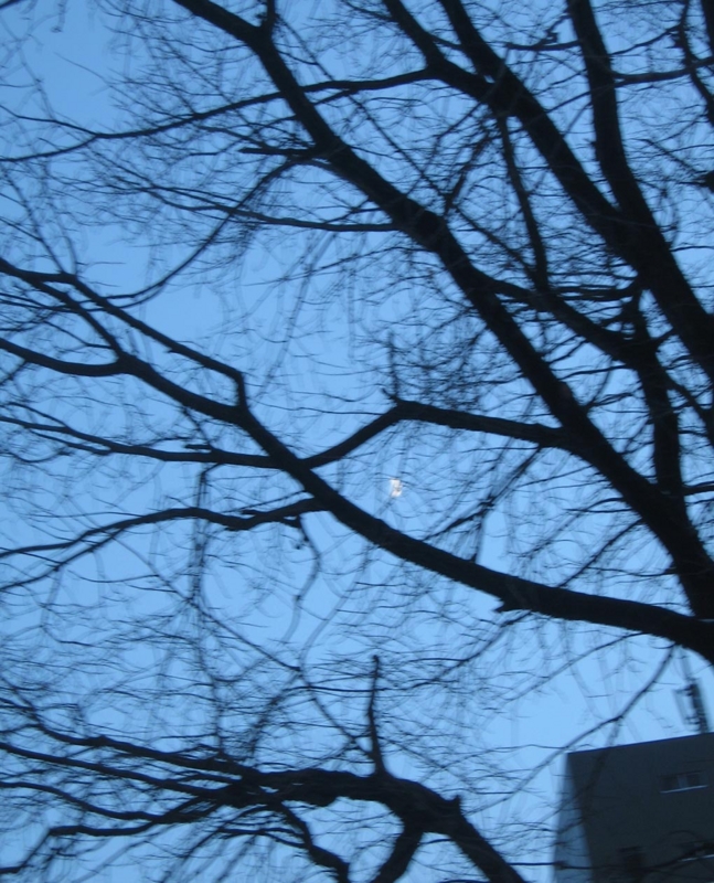 f:id:atarou:20121120072910j:image
