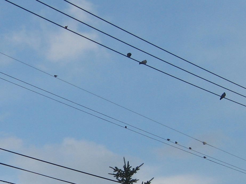 f:id:atarou:20121121071222j:image