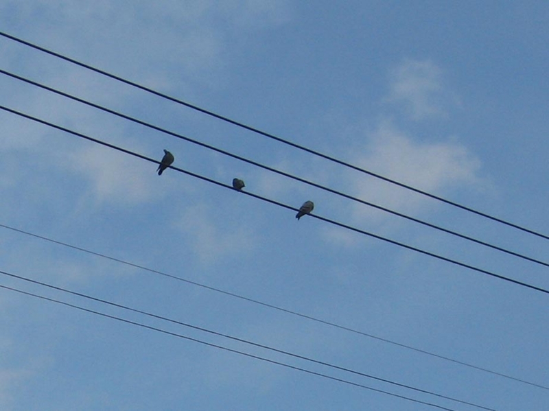 f:id:atarou:20121121071224j:image
