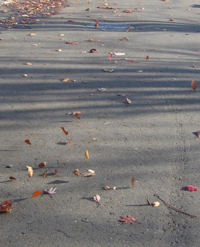 f:id:atarou:20121122065614j:image