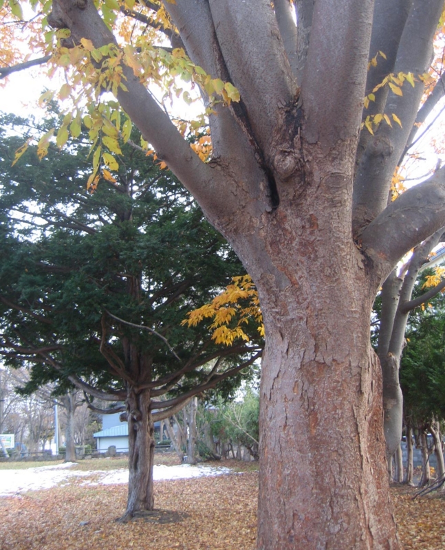 f:id:atarou:20121123071849j:image f:id:atarou:20121123071849j:image