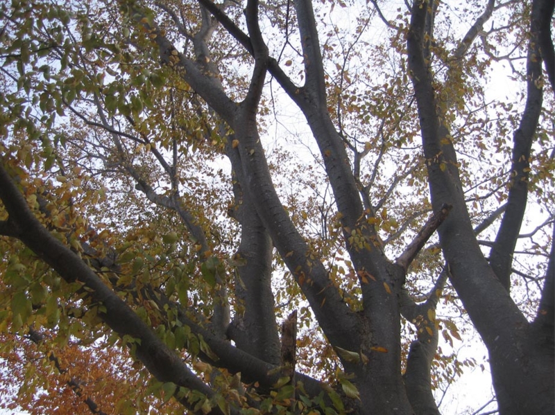 f:id:atarou:20121123071850j:image f:id:atarou:20121123071850j:image