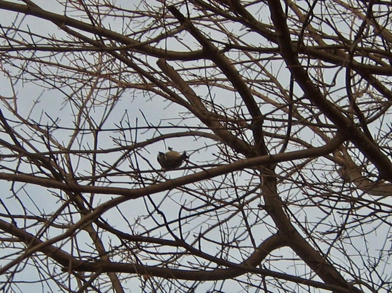f:id:atarou:20121123072514j:image f:id:atarou:20121123072514j:image