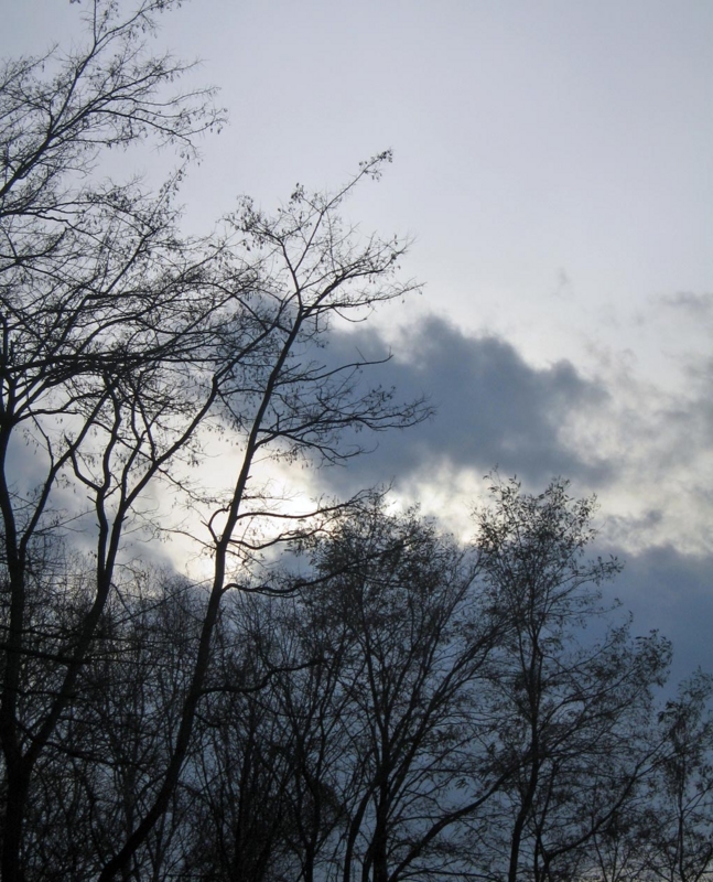 f:id:atarou:20121123072548j:image f:id:atarou:20121123072548j:image