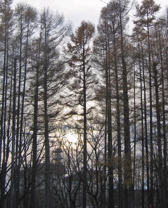 f:id:atarou:20121123073626j:image f:id:atarou:20121123073626j:image
