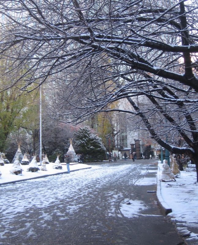 f:id:atarou:20121124062512j:image