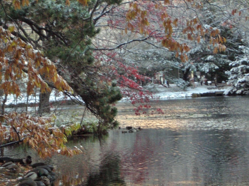 f:id:atarou:20121124071007j:image