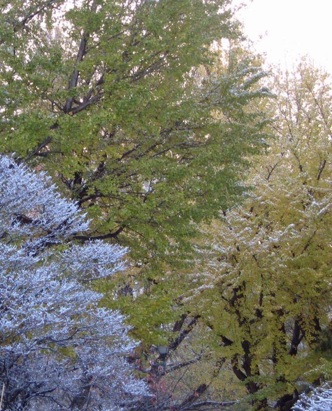 f:id:atarou:20121124071009j:image