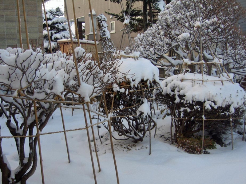 f:id:atarou:20121124072511j:image