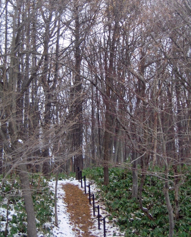 f:id:atarou:20121126065659j:image