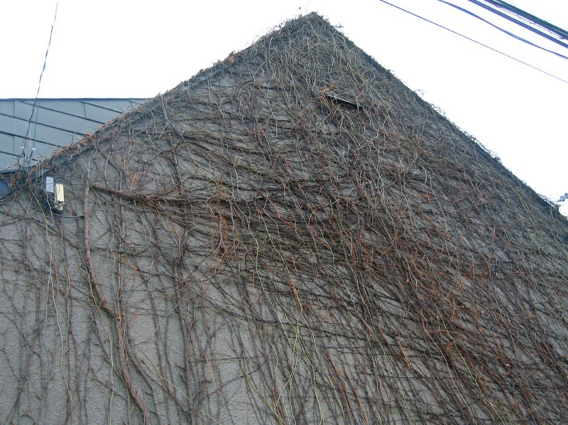 f:id:atarou:20121126071857j:image