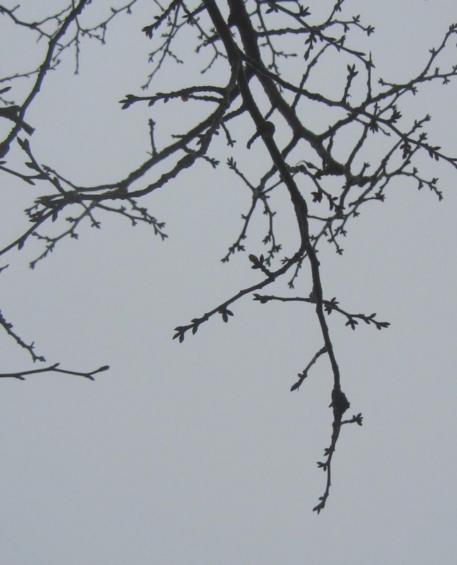 f:id:atarou:20121127061159j:image