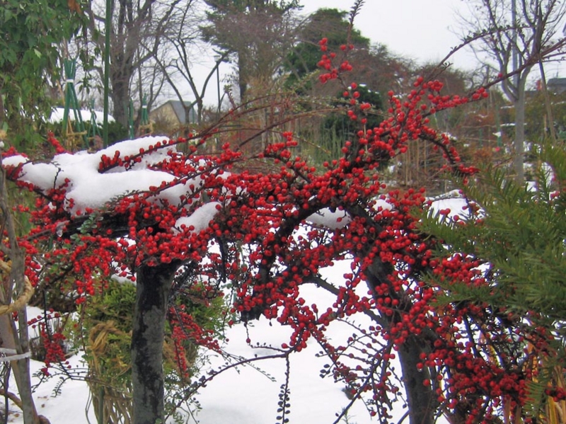 f:id:atarou:20121127065316j:image