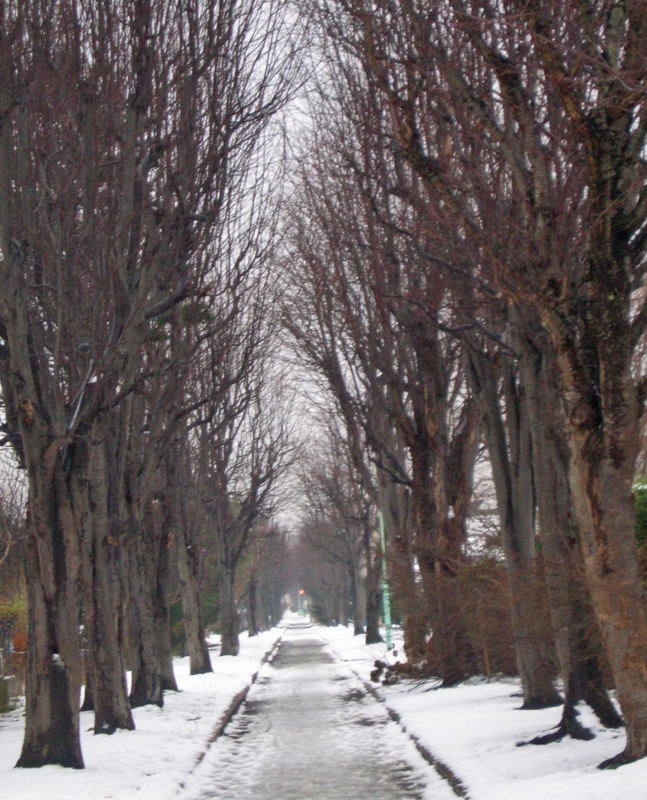 f:id:atarou:20121127072626j:image