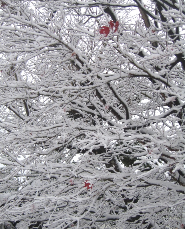 f:id:atarou:20121128071957j:image