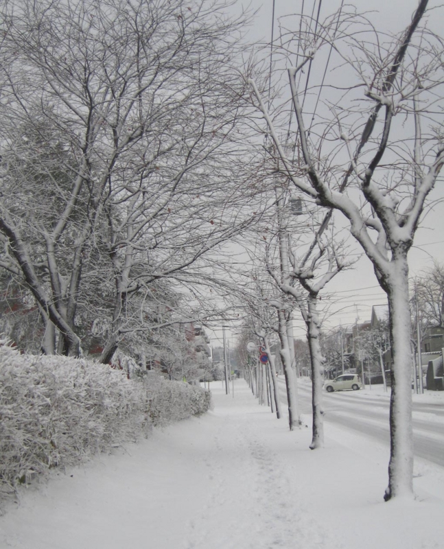 f:id:atarou:20121128071959j:image