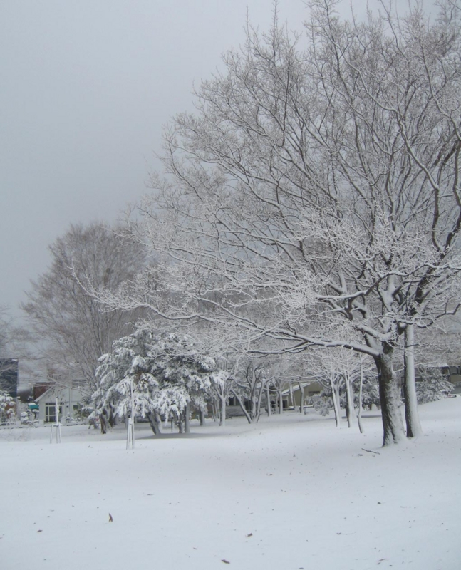 f:id:atarou:20121128073220j:image
