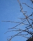 20121129064703