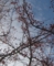 20121129064705