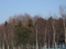 20121129070608