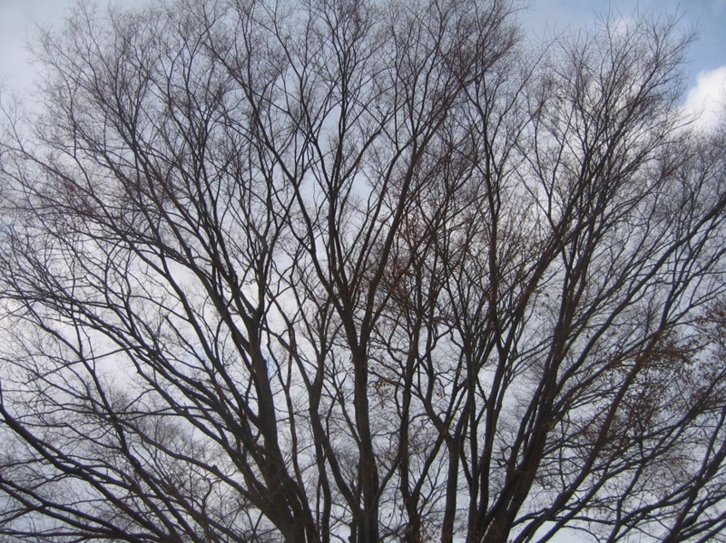 f:id:atarou:20121130085741j:image